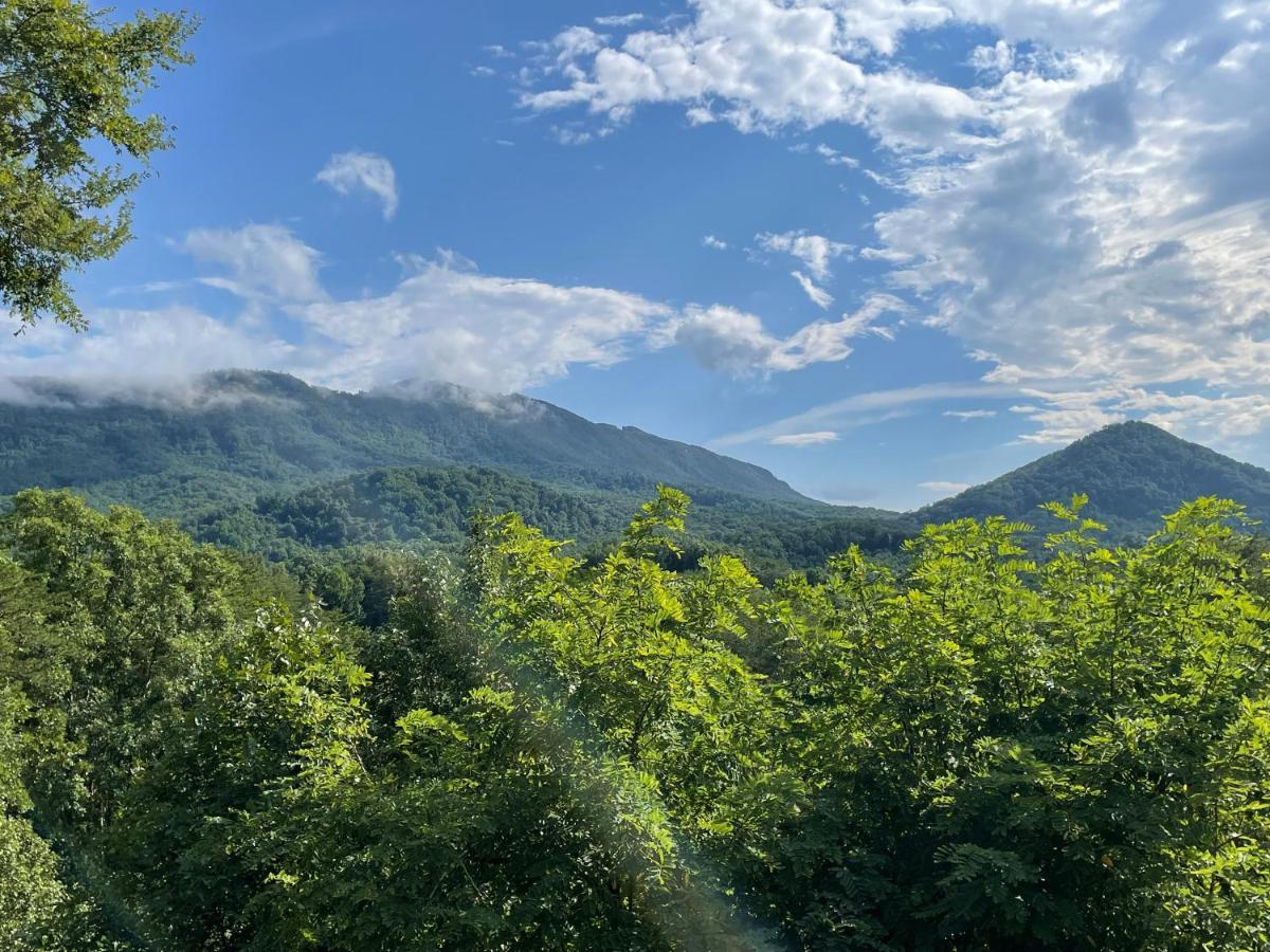 Villa Bear Doodle Sevierville Exterior foto